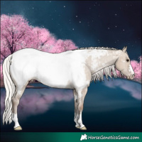 Horse Color:Silver Grullo Near Fewspot 