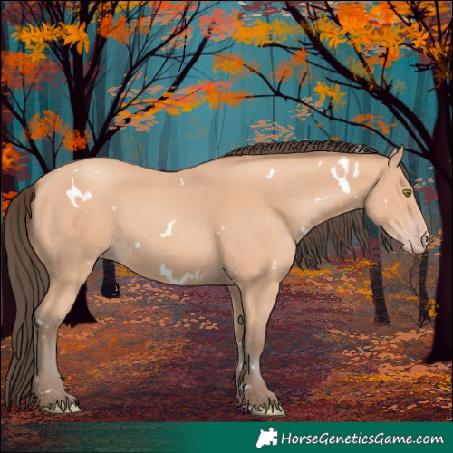 Horse Color:White Spotted Amber Champagne 