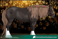Horse Color:Liver Chestnut Rabicano 