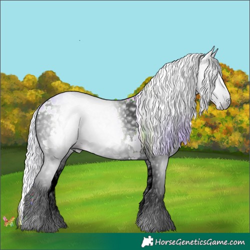 Horse Color:Gray Watercolor White Spotted Silver Bay Onyx Splash 
