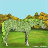 Horse Color:Watercolor Liver Chestnut Ice 