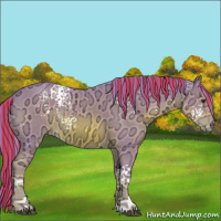 Horse Color:Painted Watercolor White Spotted Chestnut Ice Rabicano 