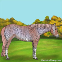 Horse Color:Watercolor Red Onyx Ice Tobiano Rabicano 