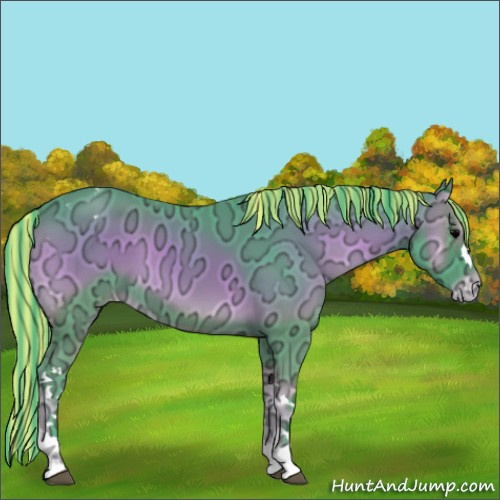 Horse Color:Painted Watercolor Blue Onyx Ice Appaloosa