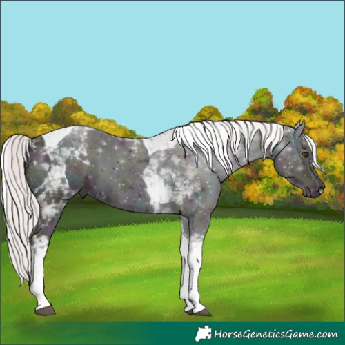Horse Color:Platinum Midnight Red Onyx Ice Tobiano 