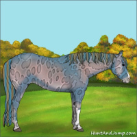 Horse Color:Painted Watercolor Blue Onyx Ice Appaloosa 