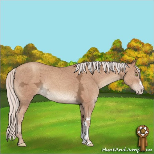 Horse Color:Silver Classic Champagne Ice