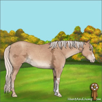 Horse Color:Silver Classic Champagne Ice 