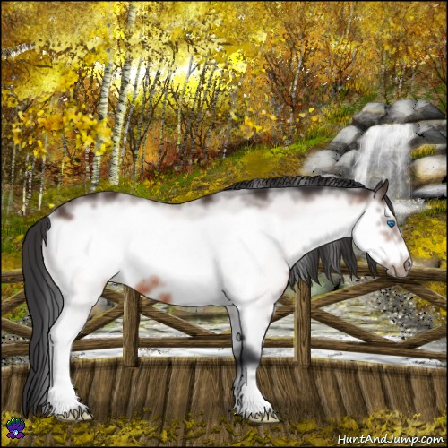 Horse Color:White Spotted Bay Frame Appaloosa Rabicano