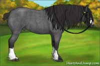 Horse Color:Liver Red Roan Frame 