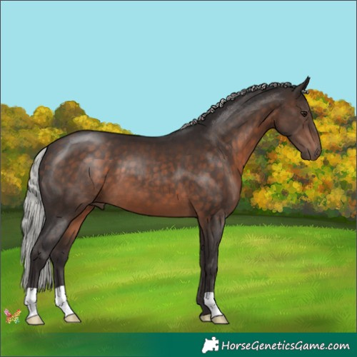 Horse Color:Silver Brown 