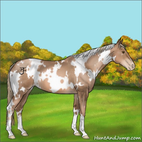 Horse Color:White Spotted Liver Chestnut Pearl 