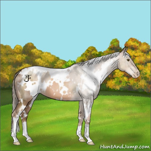 Horse Color:White Spotted Liver Chestnut Pearl 