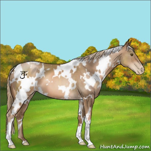 Horse Color:White Spotted Liver Chestnut Pearl 
