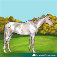 Horse Color:White Spotted Liver Chestnut Pearl 