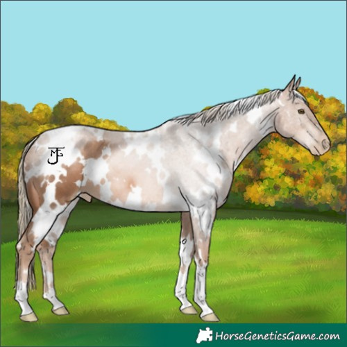 Horse Color:White Spotted Liver Chestnut Pearl 