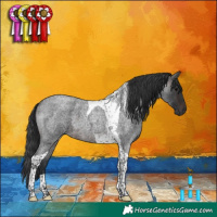 Horse Color:Brown Roan Tobiano 