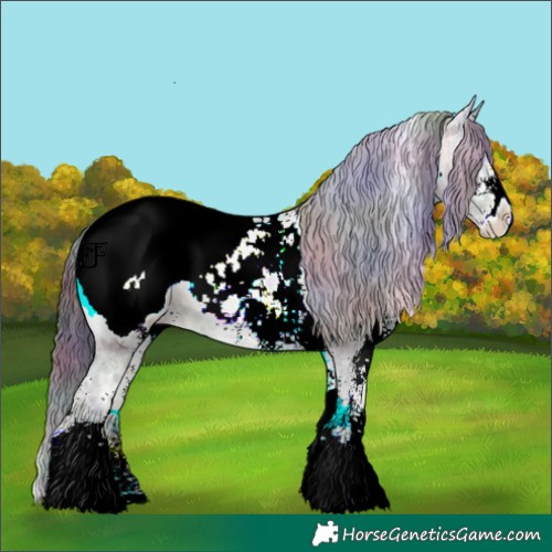 Horse Color:Nacre White Spotted Brown Ice Onyx Mushroom Appaloosa 