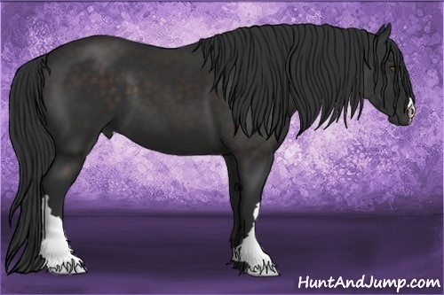 Horse Color:Liver Chestnut Frame 