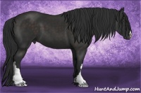 Horse Color:Liver Chestnut Frame 