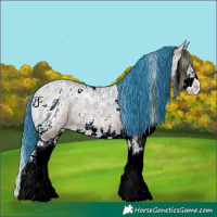 Horse Color:ERROR: UNKNOWN ANOMALY