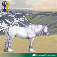 Horse Color:Watercolor White Spotted Silver Blue Onyx Chinchilla Ice Rabicano