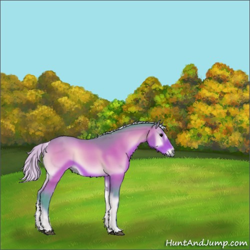 Horse Color:Watercolor Silver Bay Onyx 
