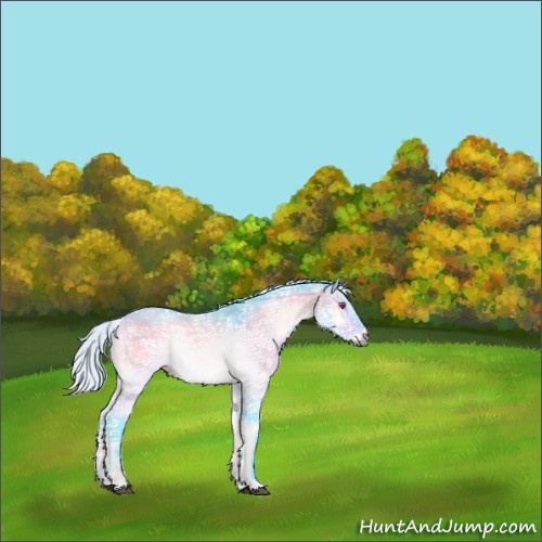 Horse Color:Watercolor Silver Bay Chinchilla Ice Onyx Rabicano 