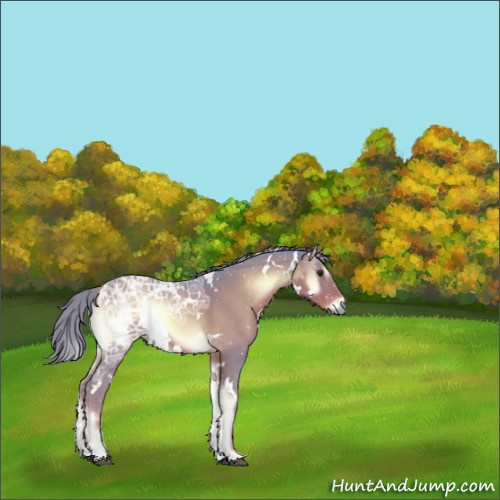 Horse Color:Watercolor White Spotted Liver Red Onyx Ice Rabicano 