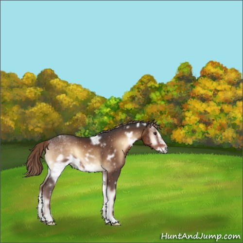 Horse Color:White Spotted Liver Red Onyx Frame 