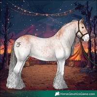 Horse Color:White Spotted Bay