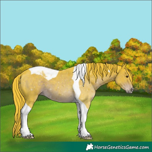 Horse Color:Watercolor Liver Chestnut Tobiano 