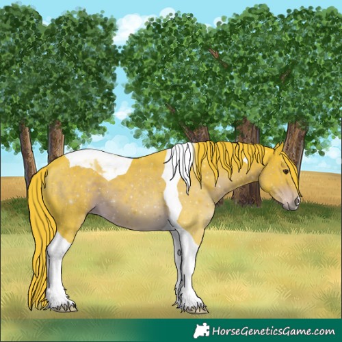 Horse Color:Watercolor Liver Chestnut Tobiano 