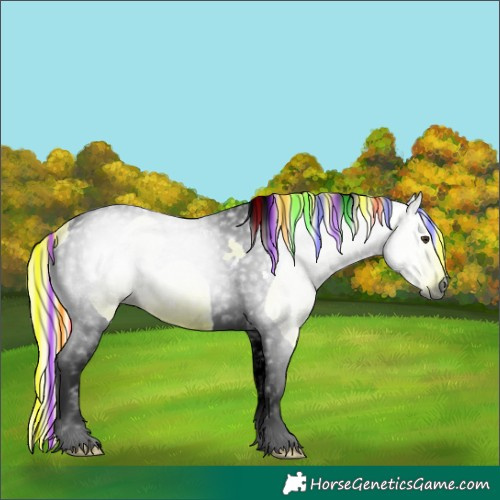 Horse Color:Gray Painted Watercolor Liver Chestnut Ice Tobiano 