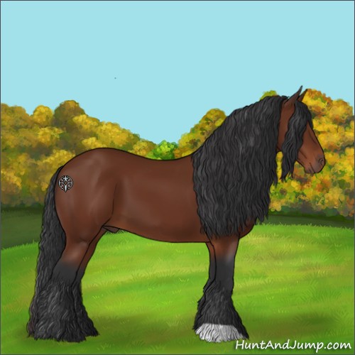 Horse Color:Brown 
