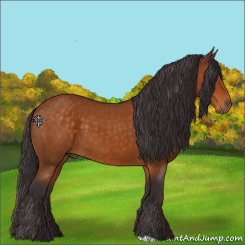 Horse Color:Buckskin 
