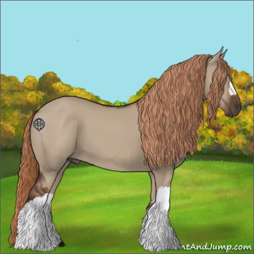 Horse Color:Liver Red Dun 