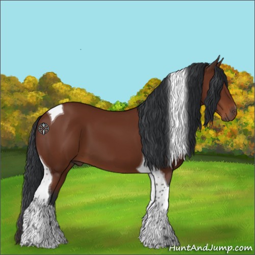 Horse Color:Brown Tobiano 