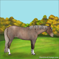Horse Color:Gray Silver Blue Roan Pearl Tobiano 