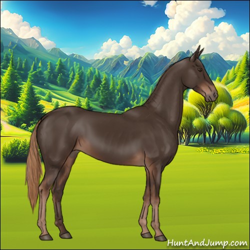 Horse Color:Liver Chestnut Rabicano