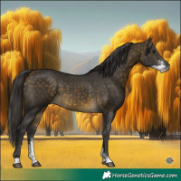Horse Color:Buckskin Sabino