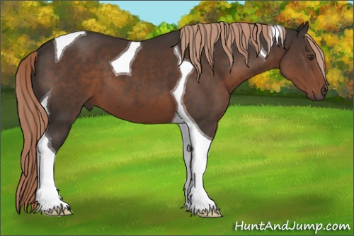 Horse Color:Liver Chestnut Tobiano 