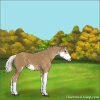 Horse Color:Silver Smoky Black Sabino Varnish 