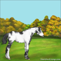 Horse Color:White Spotted Black Frame 