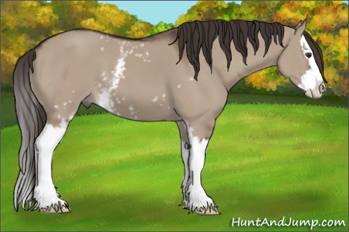 Horse Color:White Spotted Liver Red Dun Splash 