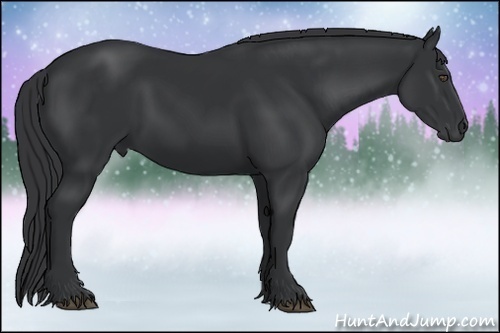 Horse Color:Black Frame 