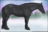 Horse Color:Black Frame