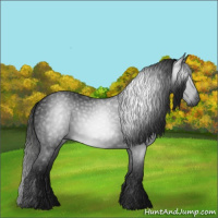 Horse Color:Gray Black 