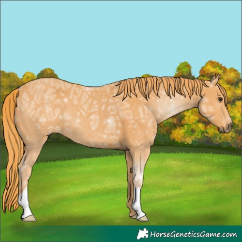Horse Color:Chestnut Ice