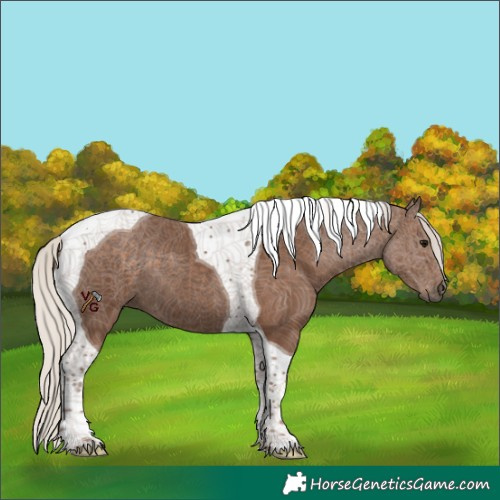 Horse Color:Silver Black Tobiano 